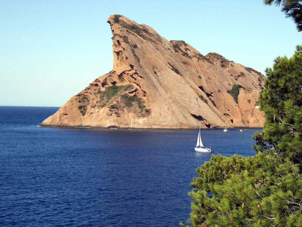 Appart. 4 Pers A 6 Kms De Cassis Avec Acces Piscine 罗科福尔拉贝杜勒 外观 照片